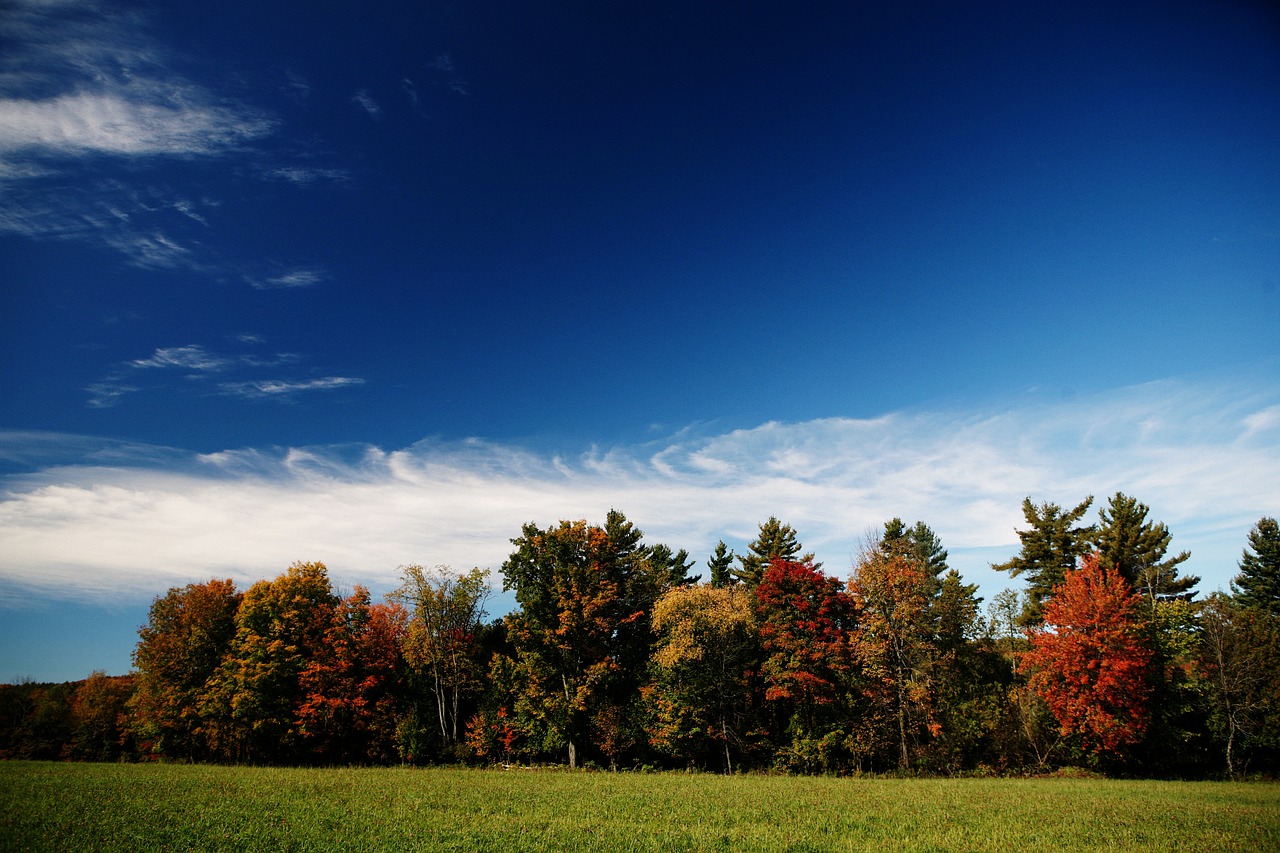 fall-498387_1280
