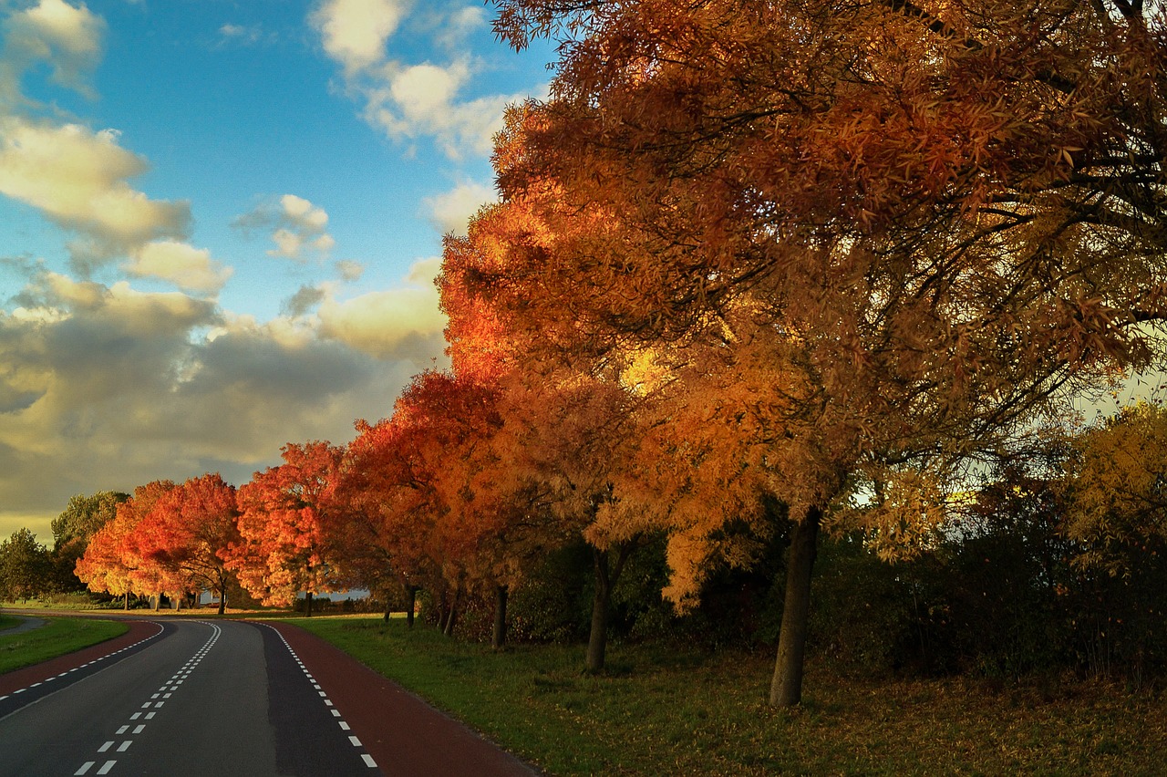 fall-535244_1280